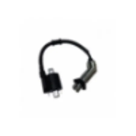 ATEŞLEME BOBİNİ kategorisi için resim