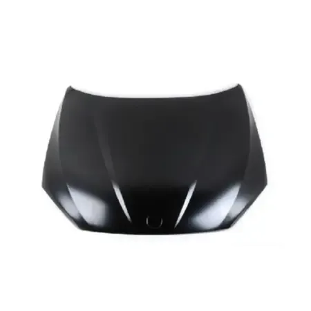 MOTOR KAPUT PARÇALARI kategorisi için resim