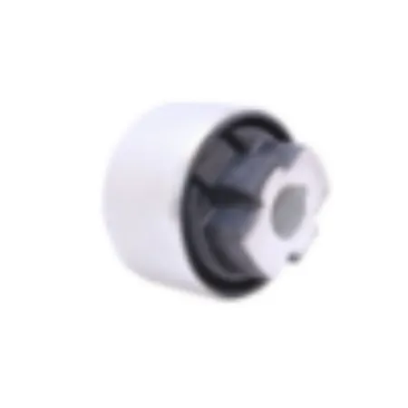 SALINCAK BURCU LASTİĞİ kategorisi için resim