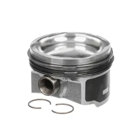 SEGMAN kategorisi için resim