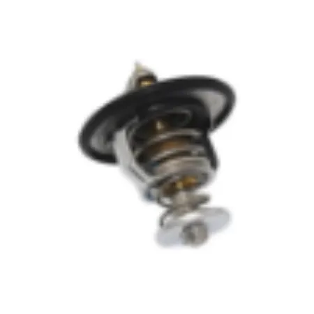 TERMOSTAT kategorisi için resim