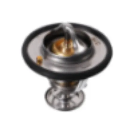 TERMOSTAT VE PARÇALARI kategorisi için resim