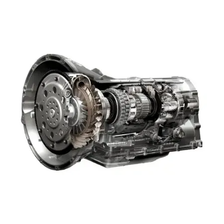 ŞANZIMAN kategorisi için resim