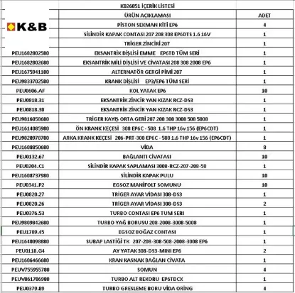 Motor Revizyon Orjinal Kit Ep6 Turbosuz (piston+kol Yatak+eksantrik Zincir Seti+s.k.c+keçe+) resmi