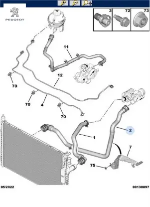Radyatör Çikiş Hortumu  308-508-3008-5008-expert Iv-partner Vu-rifter-traveller-berlingo Vp/vu-jumpy 9812441980 resmi
