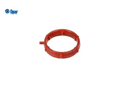 Toroidal Conta O-ring - C4 X (c43) Opar  9813216680   9813216680 resmi