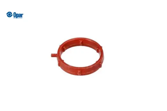 Toroidal Conta O-ring - C4 X (c43) Opar  9813216680   9813216680 resmi