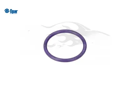 Toroidal Conta O-ring - C4 X (c43) Opar  9813217180   9813217180 resmi