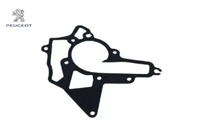 Su Pompasi Cont Peugeot 24428734 resmi