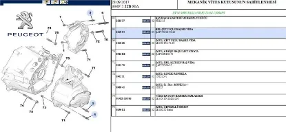 Şanziman Civatasi Partner-206-306-307-406-expert resmi
