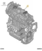Komple Motor  92bg    Dv6dted Euro 5 Peugeot  AV6Q6006BA/    0135.SW resmi