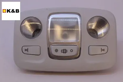 Arka Tavan Lambasi (orjinal) 2008-c4 Cactus resmi