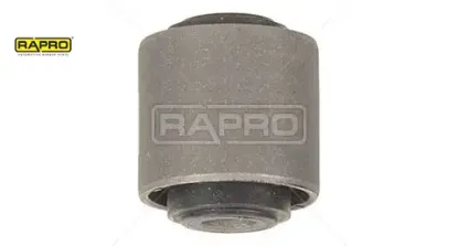 Salincak Burcu Ön Clio Rapro  7700799065   R59237 resmi