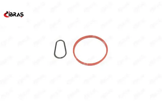 Vakum Pompa Contasi Berlingo C-elysee C3 C4 Fiesta V-vi Focus Iii-iv-v Connect V60 1.5-1.6 Ibras  4556.24/ AV6Q2A454AA/ 1743896/   20068 resmi