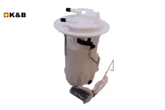 Depo Şamandirasi    208-2008-301-c3-c4-c-elysee resmi