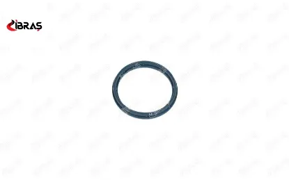 Emme Manifold Contasi Boxer Jumper Ducato-transit 2.0 Tdci/2.2 Hdi/2.4 Ibras  9809876580/ 9809878980/ 131671   19386 resmi