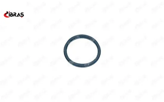 Emme Manifold Contasi Boxer Jumper Ducato-transit 2.0 Tdci/2.2 Hdi/2.4 Ibras  9809876580/ 9809878980/ 131671   19386 resmi