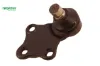 Rotil 18mm 306 1993-2001 Worthy pe1011 P-616/ 3640.48 resmi