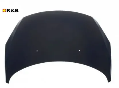 Motor Kaputu 307 Y.m 07> K&b  7901.L9   3706-4000 resmi