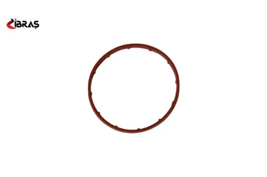 Vakum Pompa Contasi (büyük) 107-206-fiesta- 307 Dv4td Ibras  4556.16   14781 resmi