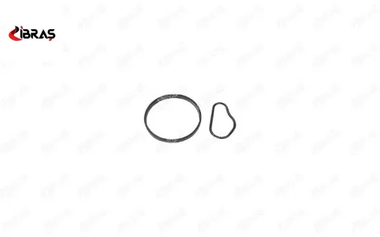 Vakum Pompa Contasi C2 C3 Jumpy Scudo Focus Ii 206 307 308i 407 Expert C30 1.6 Hdi 03-16 Ibras  4599.41   17080 resmi