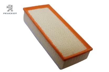 Hava Filtresi Dw10cted Expert 3 /807 Peugeot  1444.QW   FIAT, CITROEN, LANCIA, PEUGEOT, TOYOTA 1444.WN resmi