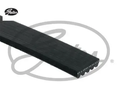 Alternatör Kayişi  E39-e46-citara-swift Gates  64552247183/ 64557786171/ 1752   5PK838 resmi