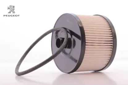 Mazot Filtresi 307 308 407 Expert Focus 2.0 Hdi/19 resmi