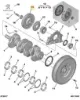 Krank Kasnaği 308-307 Dw10bted4 Peugeot  9M5Q6B319AA/   CITROEN, FORD, PEUGEOT 0515.V9 resmi