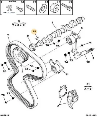 Kama Partner Peugeot 0812.37 resmi