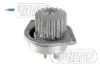 Devirdaim Pompasi 307 01->1.6 16v Graf  1201.A2/ 1201.E5  PEUGEOT, CITROEN GRAF-PA683 resmi