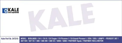 Fan Motoru 307-308-5008-partner-c4 I-ii-ds4-ds5 resmi