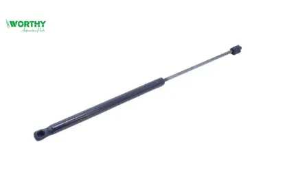 Bagaj Amortisörü    C5 Worthy  8731.F6   612226 resmi