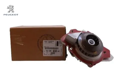 Devirdaim Pompasi  308-3008-508-5008 Dw10 resmi