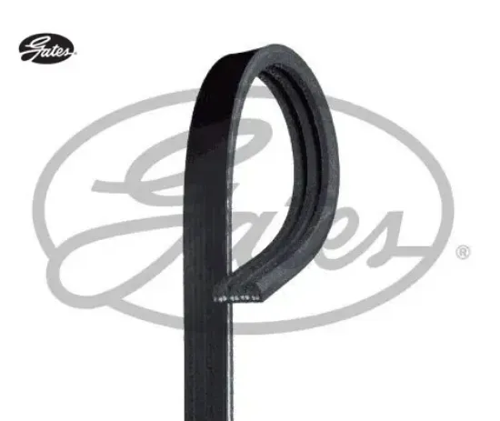 Alternatör Kayişi  Megane-tempra-r-19 Gates  6170166/ 89FF6C301B1A/ 89FF6C3   3PK828 resmi