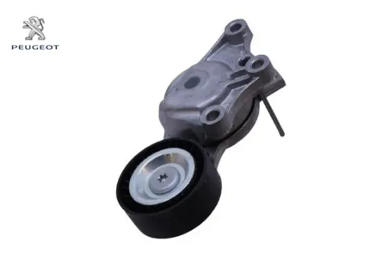 Alternatör Rulmani 308-3008-5008-partner Tepee resmi