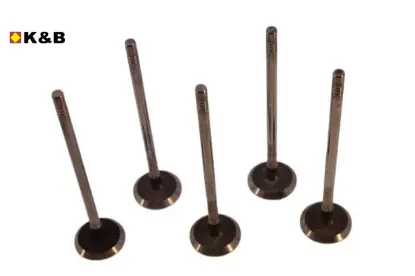 Supap Tk.orjinal Ducato-j10 2.3jtd Eu4-eu5 120 16v resmi