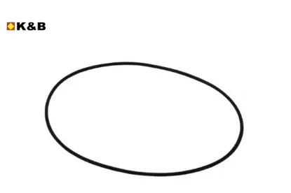 Mazot Pompa Oringi   J9 K&b  KBYERLI0403 resmi