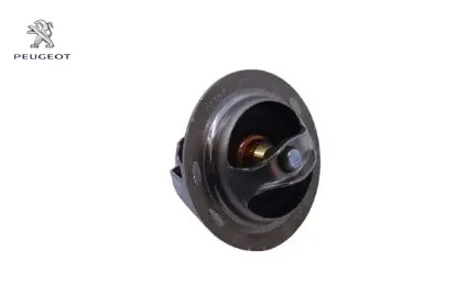 Termostat 306-406 Xu10j4 Peugeot 1338.39 resmi