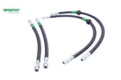 Fren Hortum Kiti   Xsara 98-05 Worthy  01100/ 01101/ 4806A8/ 480664 resmi