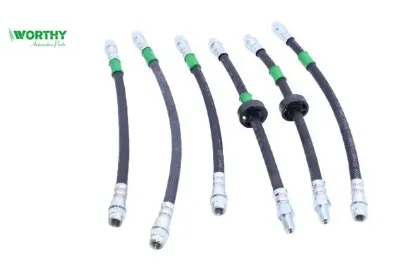 Fren Hortum Kiti   Clio I 90-98 Worthy  00250/ 00251/ 8200131598/ 7704 resmi