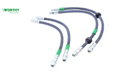 Fren Hortum Kiti   Scenic I 99-03 Worthy  00259/ 00260/ 7700840390/ 7700 resmi