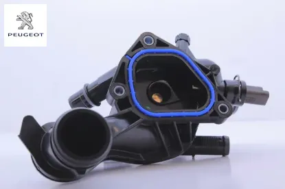 Su Dağitici 308 508 Peugeot 9808647280 resmi