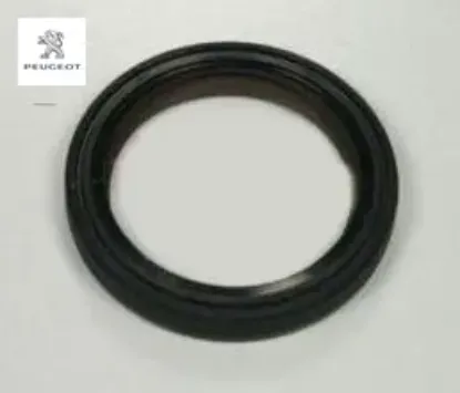 Eksantrik Keçesi 206-307 Tu5 Peugeot    PEUGEOT, CITROEN 0807.35 resmi