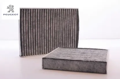 Polen Filtresi 207-208-2008/6447.vx/peugeot resmi