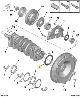 Krank Keçesi Arka 308-508-5008-expert Iii Dw10ct resmi