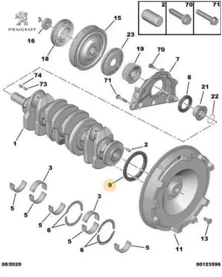 Krank Keçesi Arka 308-508-5008-expert Iii Dw10ct resmi