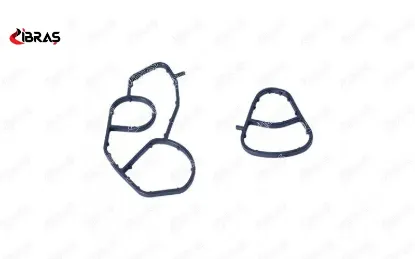 Yağ Filtre Contasi Takim  206-207-208-301-307-308-508-5008-partner Tepee-focus-fiesta 1.5tdci/1.6hd 1103.S0/ 2S6Q6A728AA1145946 resmi