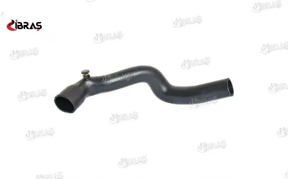 Radyatör Üst Hortumu R-19 1.4-1.6 Ibras  7702253168   11301 resmi