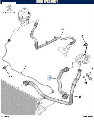 Radyatör Alt Hortumu 3008 Ii P84 Peugeot 9804058880 resmi